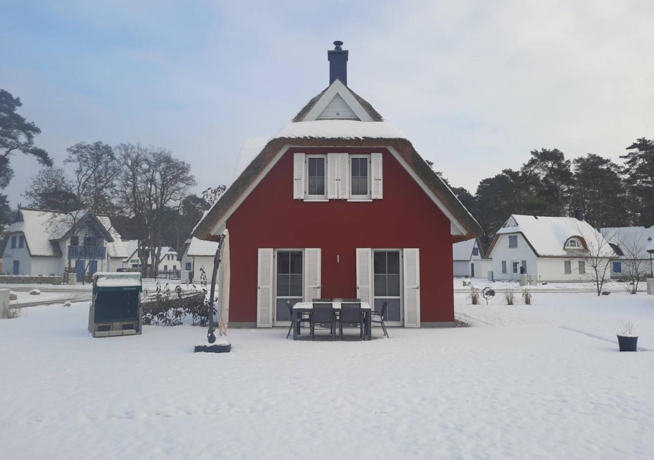 Modernes Reetdach-Ostseeferienhaus Bella Mare, Insel Usedom Mit Sauna, Kamin & Sonnenterrasse Zirchow 外观 照片